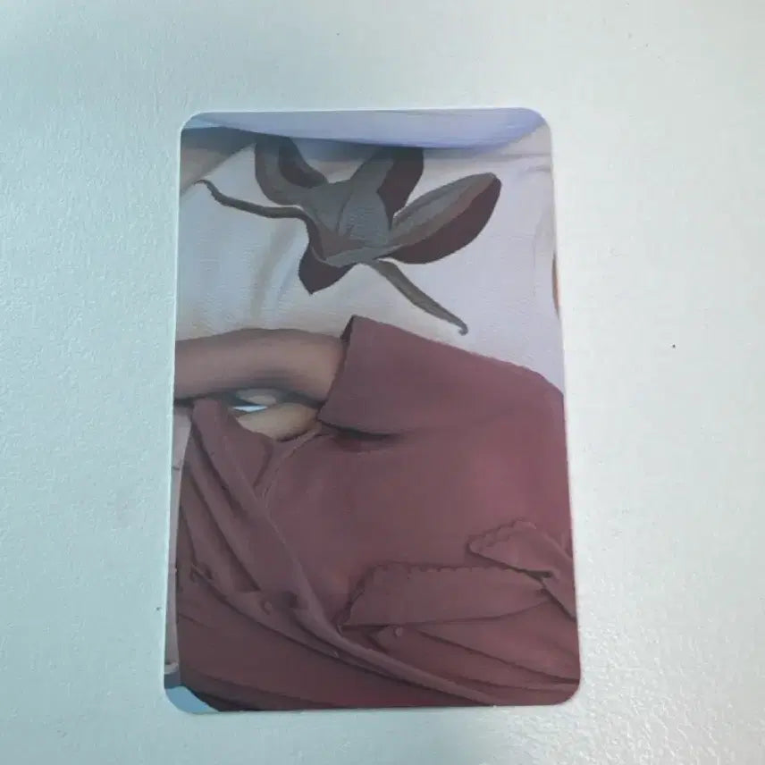 세븐틴 원우 포카 Al1  wonwoo