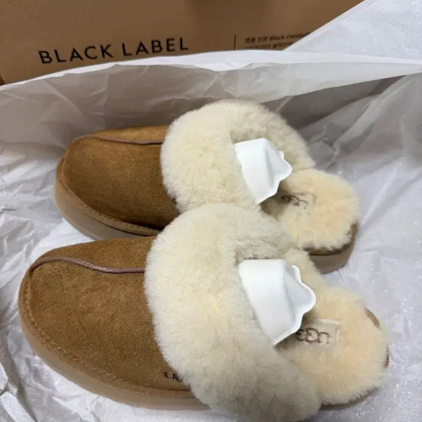 [BUNJANG] UGG Disquette Chestnut Slippers (US 8W) / UGG 어그 디스케트 슬리퍼 체스트넛 250 (US 8W)