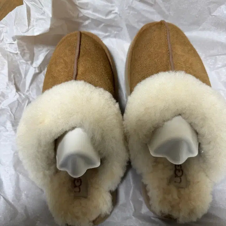 [BUNJANG] UGG Disquette Chestnut Slippers (US 8W) / UGG 어그 디스케트 슬리퍼 체스트넛 250 (US 8W)