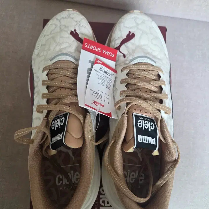 [BUNJANG] Puma CLR x Deviate Nitro 2 Running Shoes / (265) 푸마 x 씨엘르 디비에이트 나이트로2