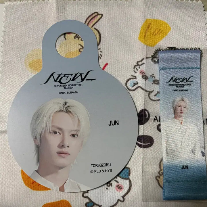 [BUNJANG] Seventeen Jun Torikizoku Flag Keyring / 세븐틴 준 일본 토리키조쿠 특전, 플래그 키링 양도