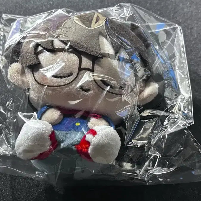 [BUNJANG] Detective Conan Edogawa Conan Unsealed Plush / (미개봉) 명탐정 코난 에도가와 코난 오야스미 누이