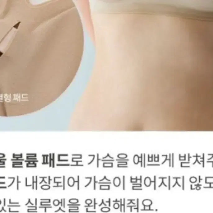 [BUNJANG] Venus Evelyn Bra Bundle Set / 3개가격#노와이어 브라# 비너스  에블린 신영와코루 베이지 블랙