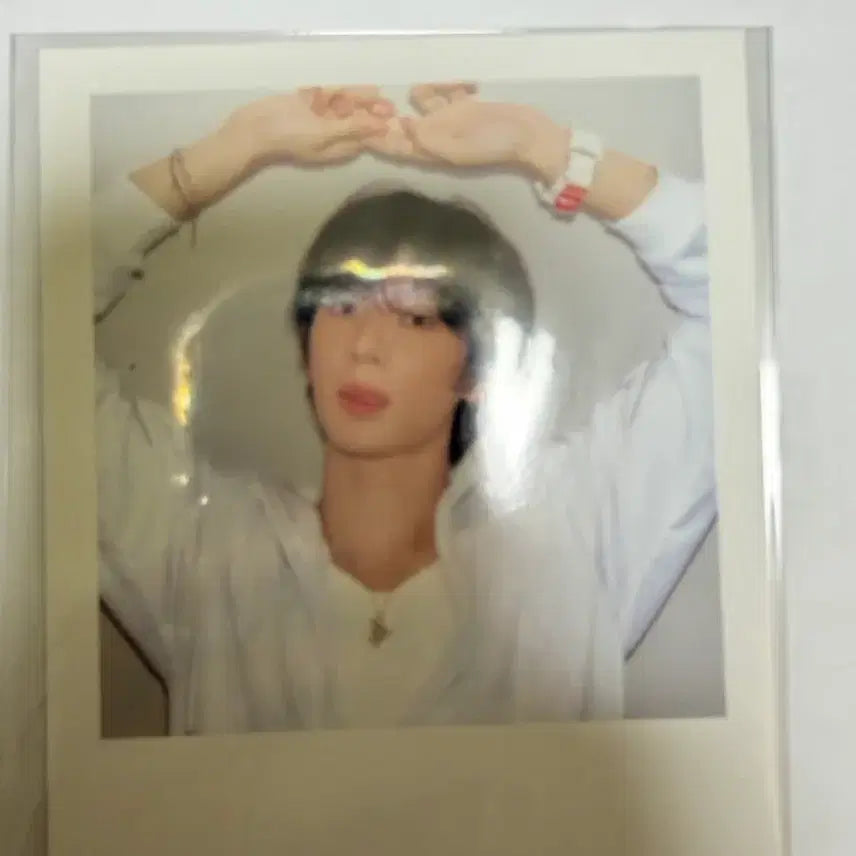 라이즈 시그 앤톤 폴라로이드