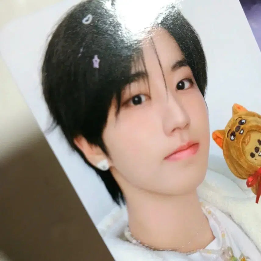 [BUNJANG] Stray Kids Han 5&