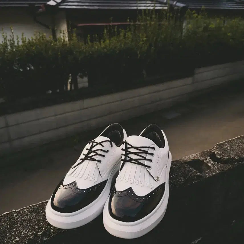 [BUNJANG] Aves Golf Phoenix Height-Increasing Golf Shoes / [풀박새상품.최저가.정가39] 아베스골프 피닉스 키높이 골프화 운동화