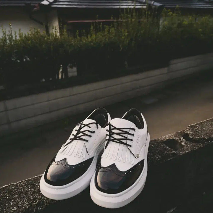 [BUNJANG] Aves Golf Phoenix Height-Increasing Golf Shoes / [풀박새상품.최저가.정가39] 아베스골프 피닉스 키높이 골프화 운동화