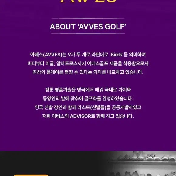 [BUNJANG] Aves Golf Phoenix Height-Increasing Golf Shoes / [풀박새상품.최저가.정가39] 아베스골프 피닉스 키높이 골프화 운동화
