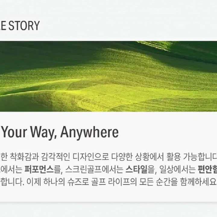 [BUNJANG] Aves Golf Phoenix Height-Increasing Golf Shoes / [풀박새상품.최저가.정가39] 아베스골프 피닉스 키높이 골프화 운동화