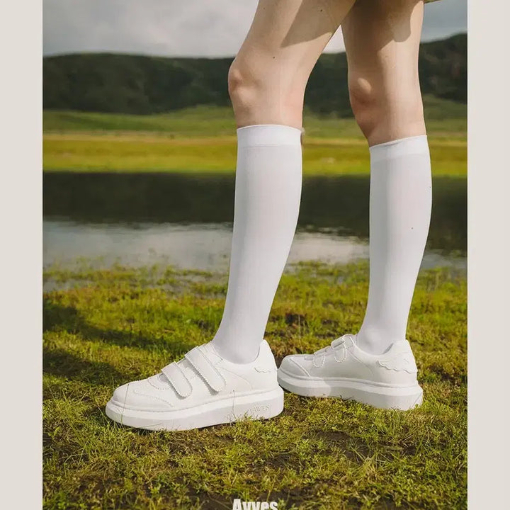 [BUNJANG] Aves Golf Kit Premium Golf Shoes / [풀박새상품.최저가.정가42] 아베스골프 키트 키높이 골프화 운동화