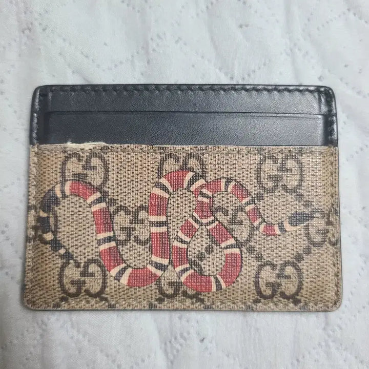 [BUNJANG] Gucci Snake Card Wallet / 구찌 스네이크 카드지갑