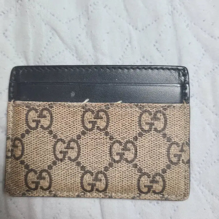 [BUNJANG] Gucci Snake Card Wallet / 구찌 스네이크 카드지갑