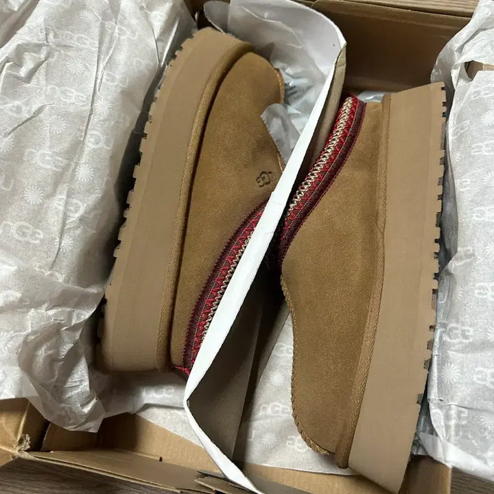 [BUNJANG] UGG Tazz Slipper Chestnut W8 (250) - New / (새상품) 어그 타즈 슬리퍼 체스트넛 W8 250