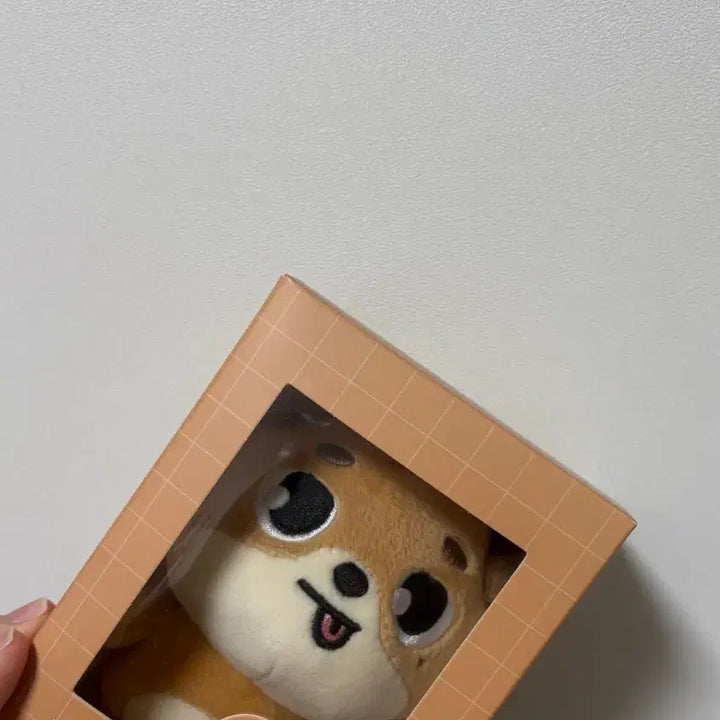 [BUNJANG] NCT Dream Denimals 2022 / 데니멀즈 돈 2022