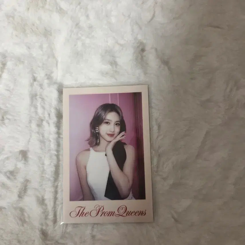 아이브 가을 폴라로이드