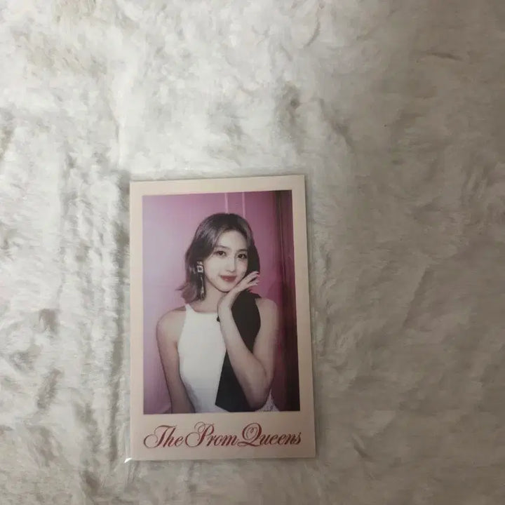 아이브 가을 폴라로이드