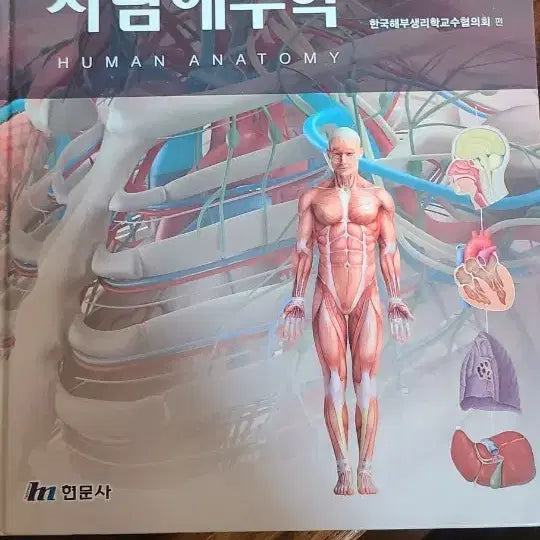 [BUNJANG] Anatomy 5th Edition Textbook / 현문사 해부학5판