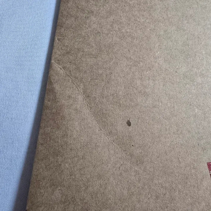 피원하모니 테오 인탁 새드송 굿즈 프로파일북 캔뱃지