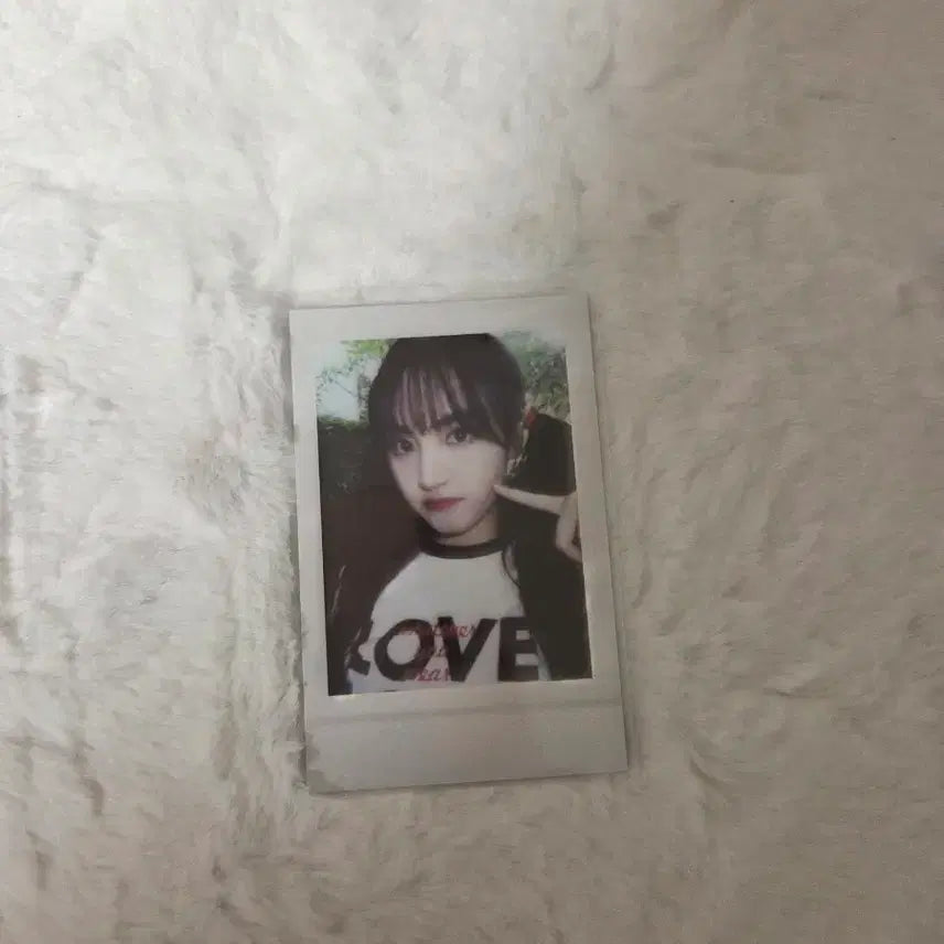 아이브 리즈 드리미데이 풀파티 버전 폴라로이드