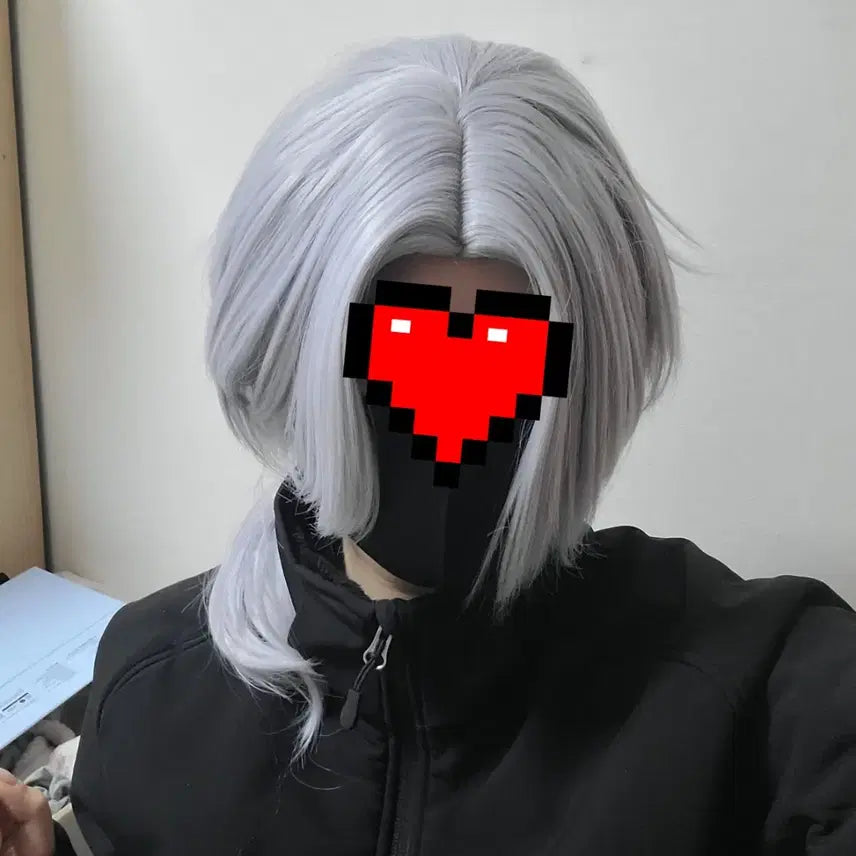 [BUNJANG] Cosplay Silver Wig / 은발 가발 코스용 팝니다