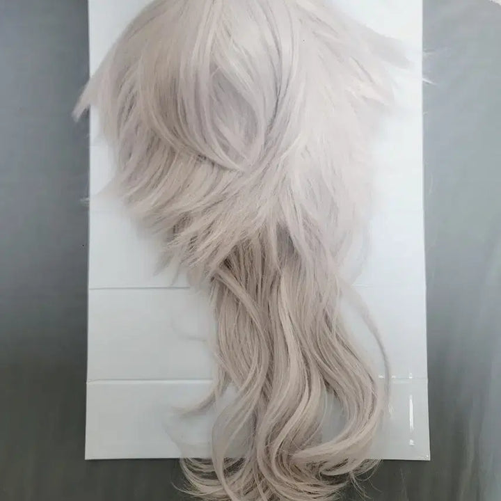 [BUNJANG] Cosplay Silver Wig / 은발 가발 코스용 팝니다