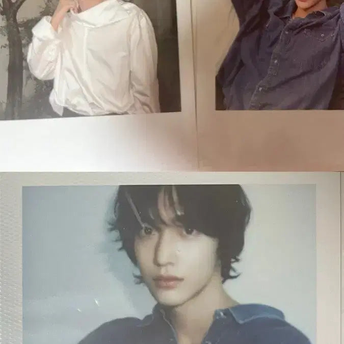 라이즈 원빈 2024 시그 폴라로이드 3개 일괄