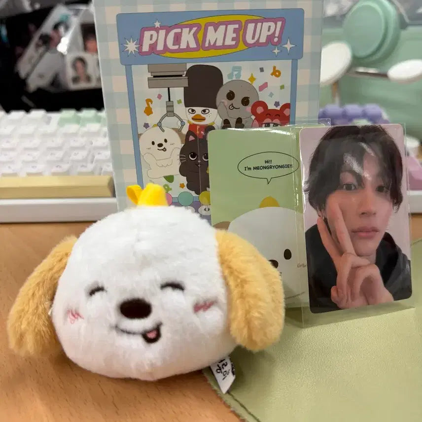 [BUNJANG] RIIZE Shanghai Pop-Up Menglong Blind Box / 라이즈 상하이 팝업 블라인드박스 멍룡이 양도