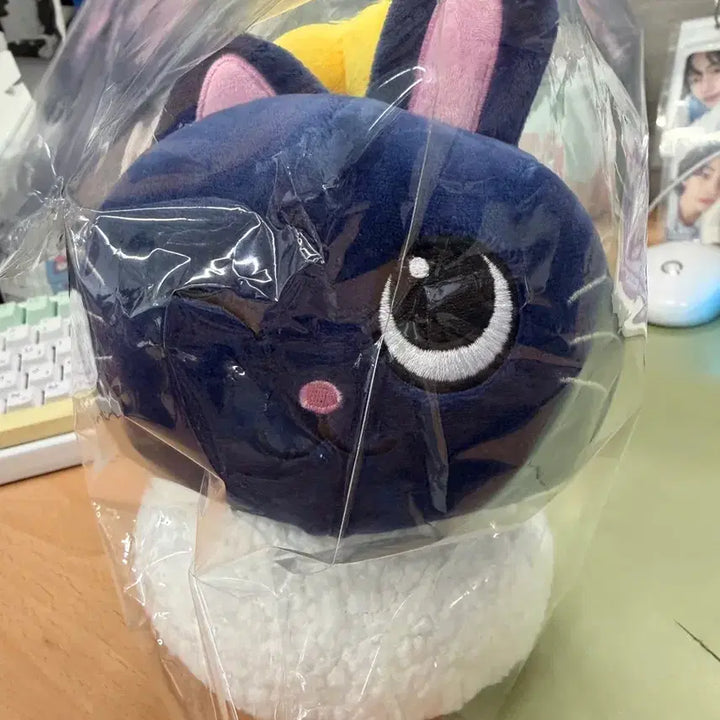 [BUNJANG] RIIZE RIIZECITY Torangduck Plush Doll / 현물)라이즈 일본 팝업 라이즈시 토냥덕 인형 양도
