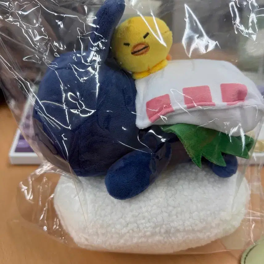 [BUNJANG] RIIZE RIIZECITY Torangduck Plush Doll / 현물)라이즈 일본 팝업 라이즈시 토냥덕 인형 양도