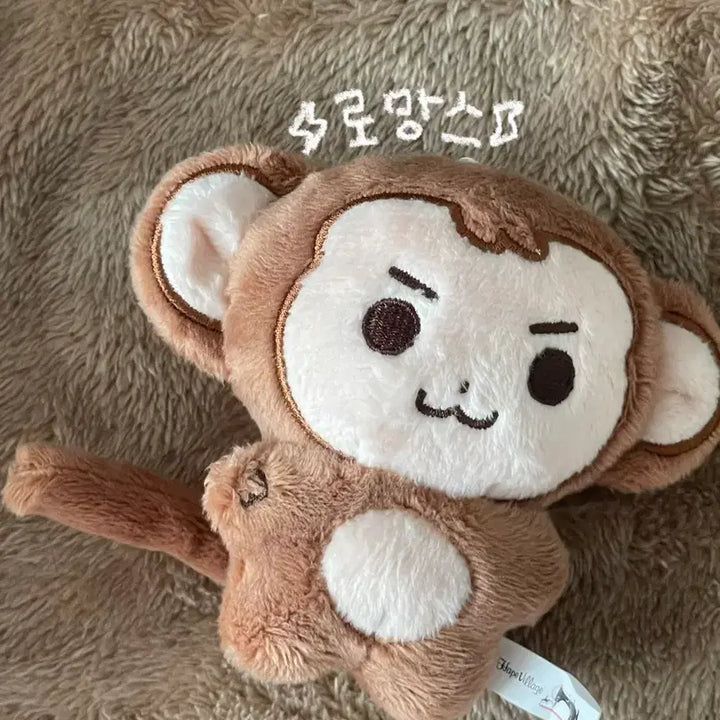 [BUNJANG] Day6 Wonpil Mongpil Doll / 데이식스 원필 인형 몽필이 day6 몽필 김원필