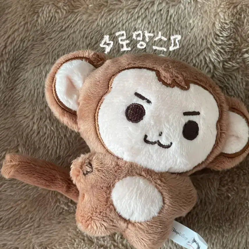 [BUNJANG] Day6 Wonpil Mongpil Doll / 데이식스 원필 인형 몽필이 day6 몽필 김원필