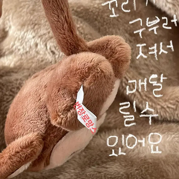 [BUNJANG] Day6 Wonpil Mongpil Doll / 데이식스 원필 인형 몽필이 day6 몽필 김원필