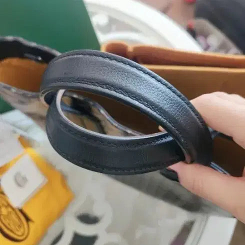 [BUNJANG] Goyard Voltaire Bag / 고야드볼테르