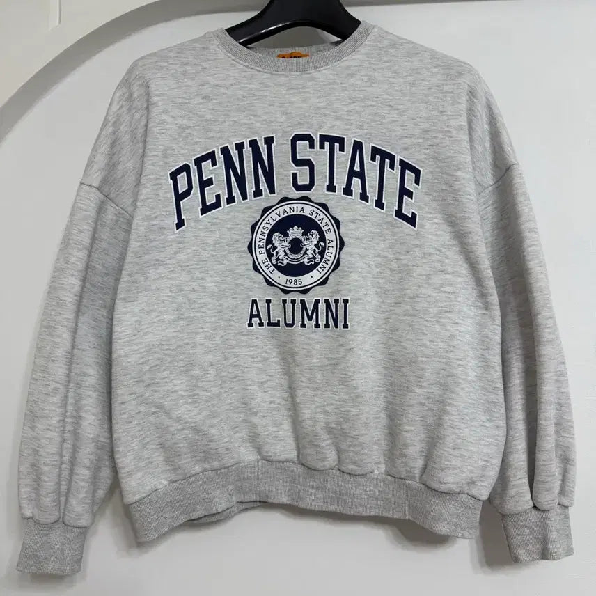[BUNJANG] Unisex Penn State Gray Sweatshirt / 남녀공용 맨투맨티셔츠
