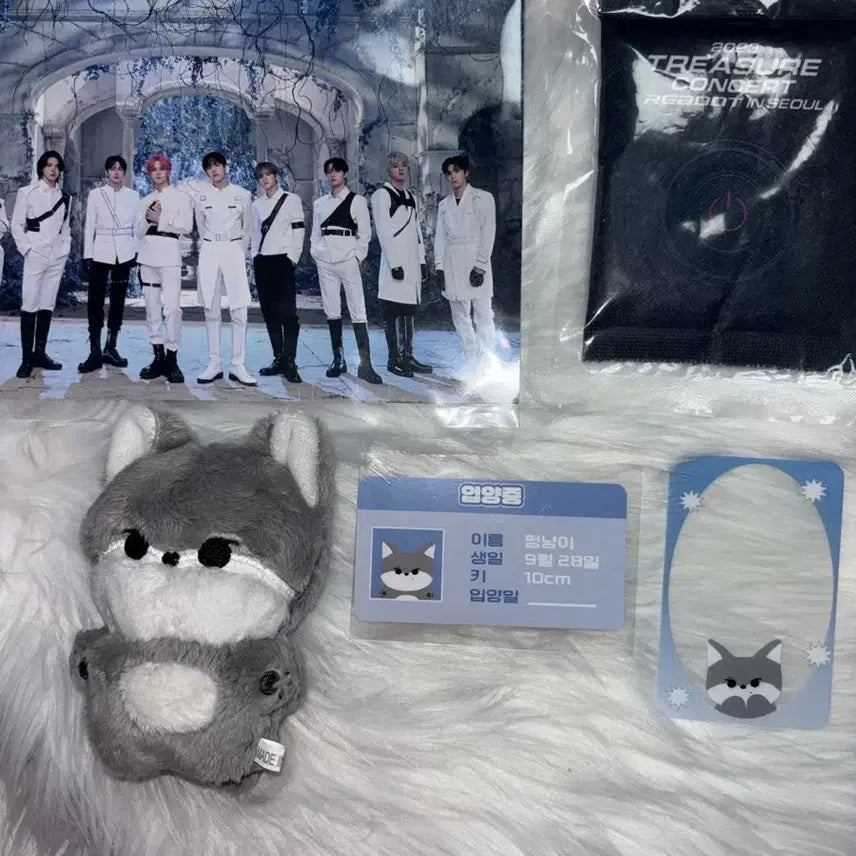 트레저 박정우 쩡냥이 인형 10cm 콘서트 포카 포토카드