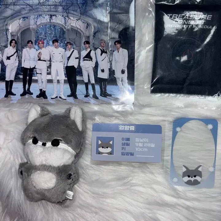 트레저 박정우 쩡냥이 인형 10cm 콘서트 포카 포토카드