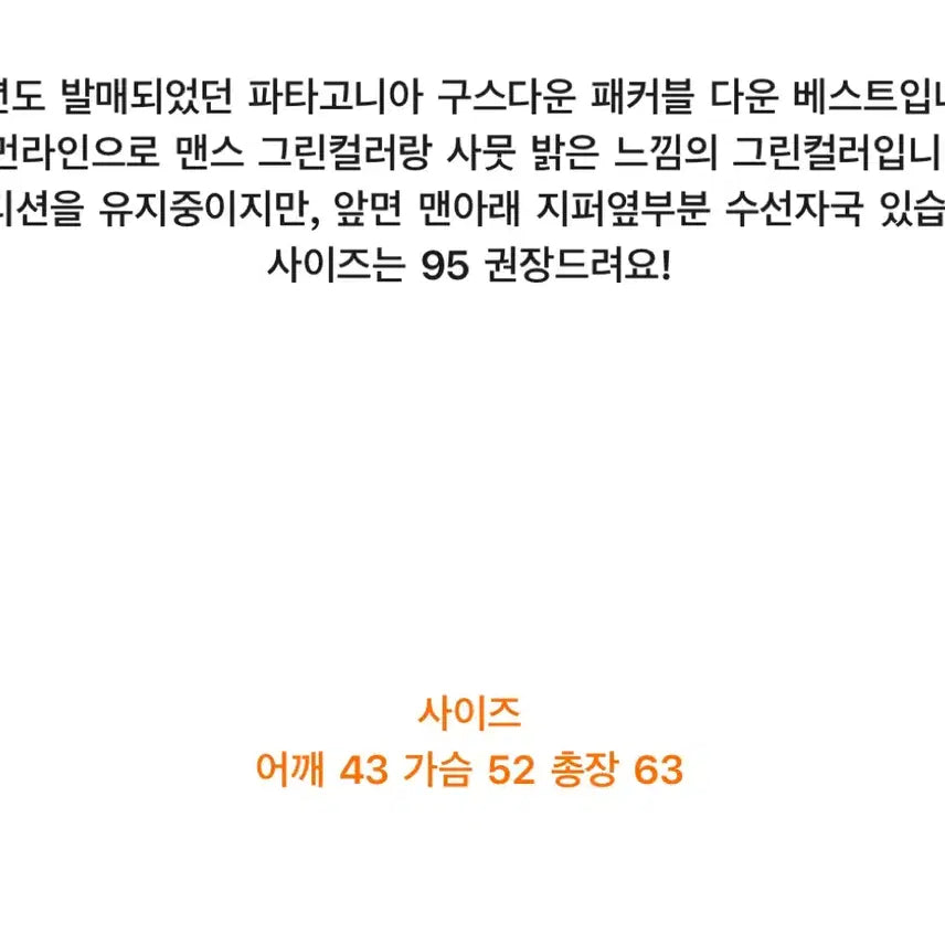 [BUNJANG] Patagonia Packable Goose Down Vest / 파타고니아 패커블 구스다운 베스트