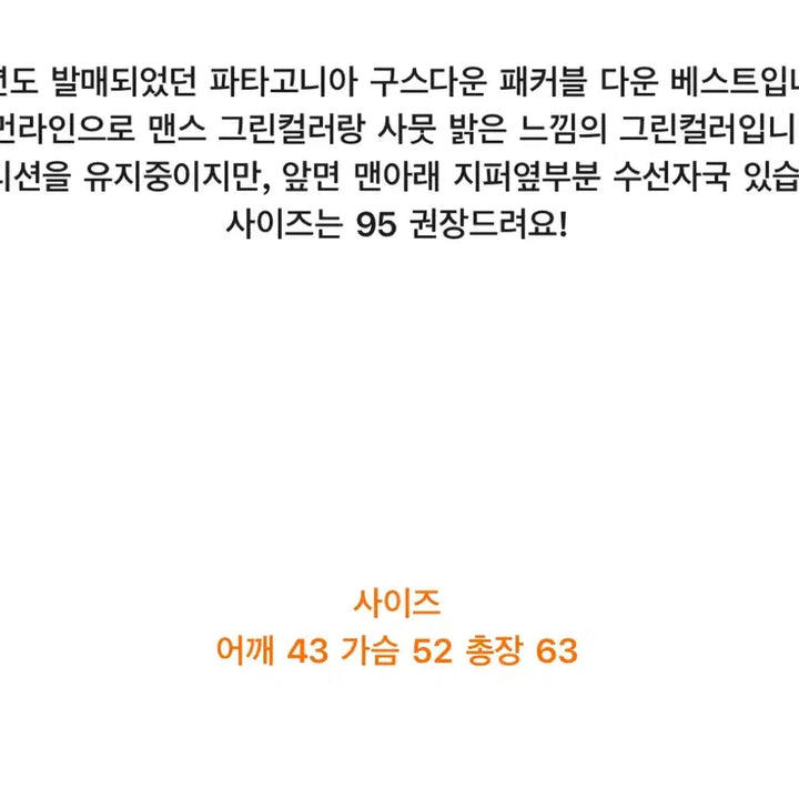 [BUNJANG] Patagonia Packable Goose Down Vest / 파타고니아 패커블 구스다운 베스트