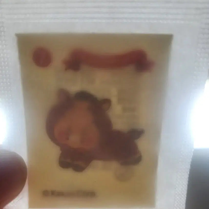 [BUNJANG] CHUNSIK Sticker Set / 춘식이 띠부씰