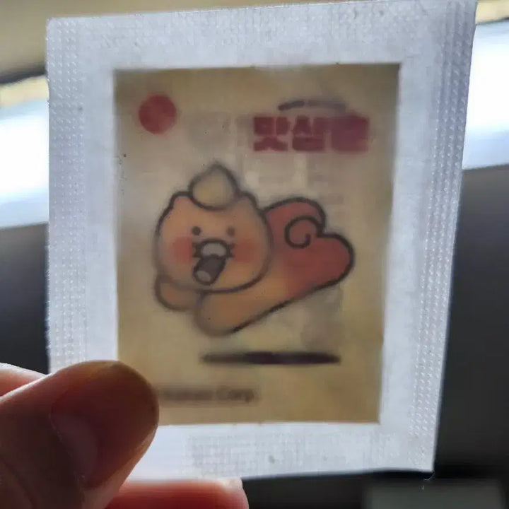 [BUNJANG] CHUNSIK Sticker Set / 춘식이 띠부씰