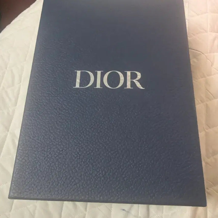 [BUNJANG] Dior Crossbody Bag / 디올크로스백