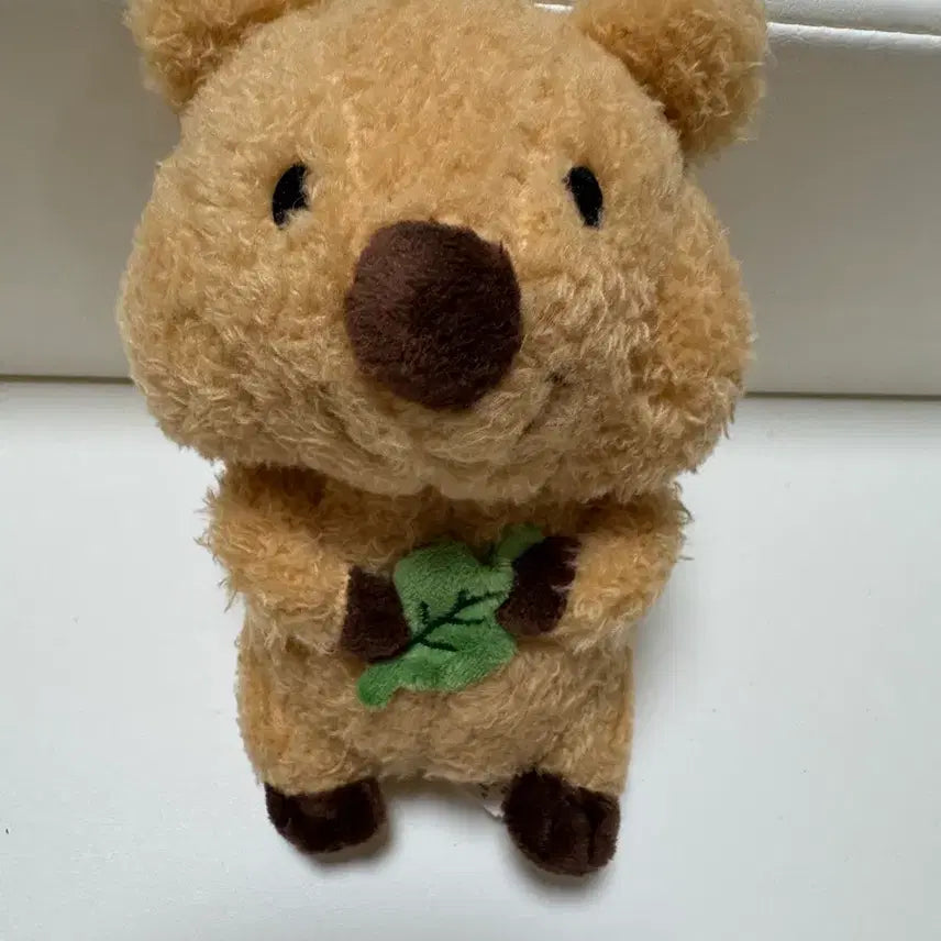 [SOLD OUT] 잎사귀 쿼카 가방고리