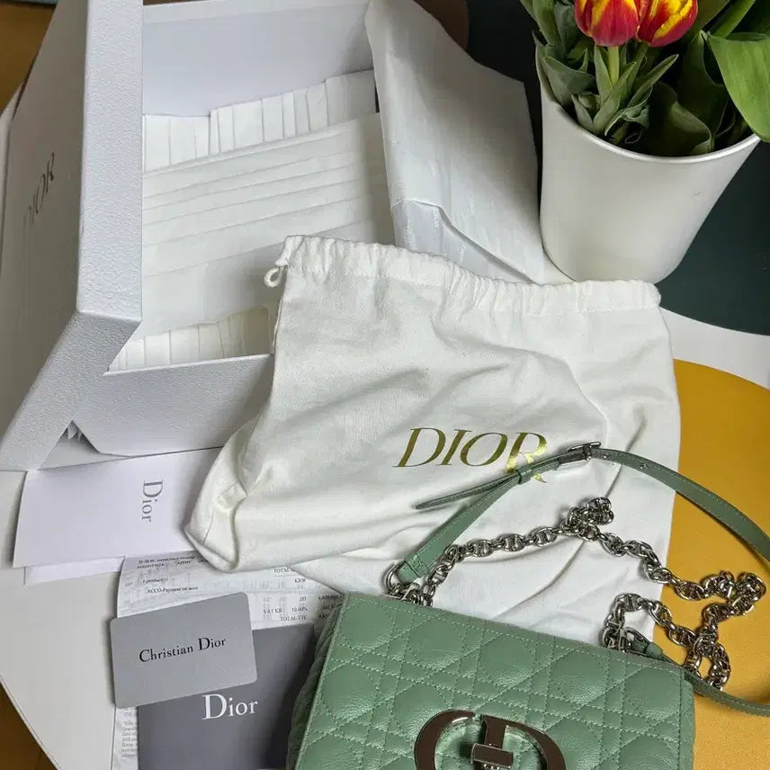 [BUNJANG] Dior Caro Small Mint Green Shoulder Bag / 디올 카로백 스몰 민트그린
