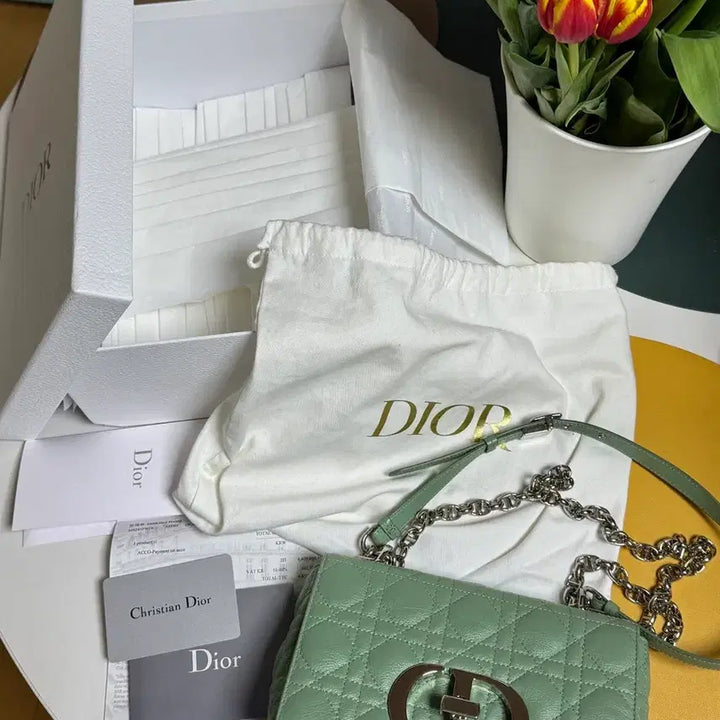 [BUNJANG] Dior Caro Small Mint Green Shoulder Bag / 디올 카로백 스몰 민트그린