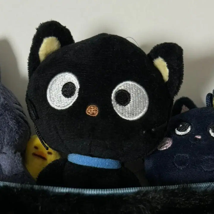 [BUNJANG] Sanrio Chococat Photocard / 산리오 초코캣 양도