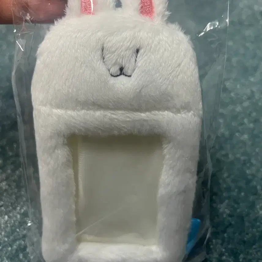 [SOLD OUT] 페코라 2025 생일 기념 카드홀더