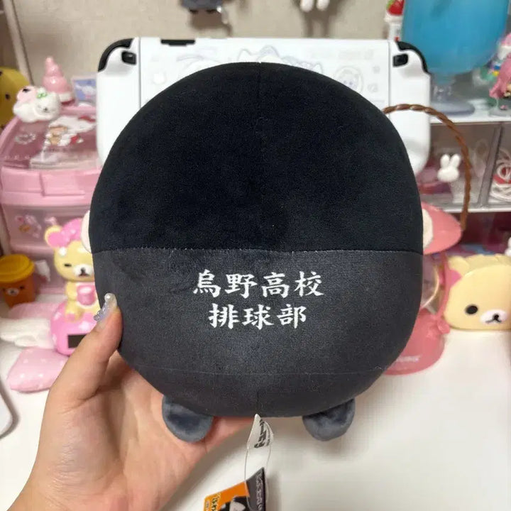 [SOLD OUT] 하이큐 카게야마 후와코로링 누이 m