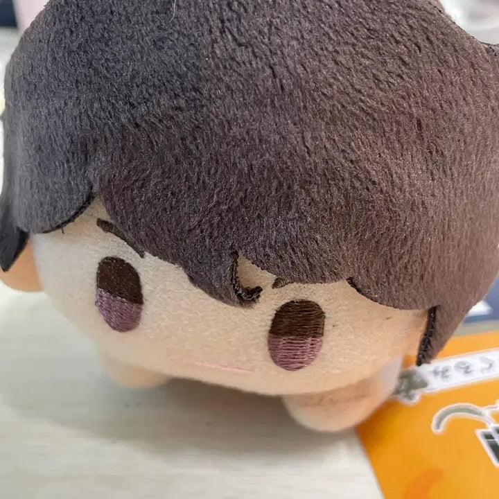 [BUNJANG] Haikyu Oikawa 10th Anniversary Plush Doll / 하이큐 오이카와 10주년 인형