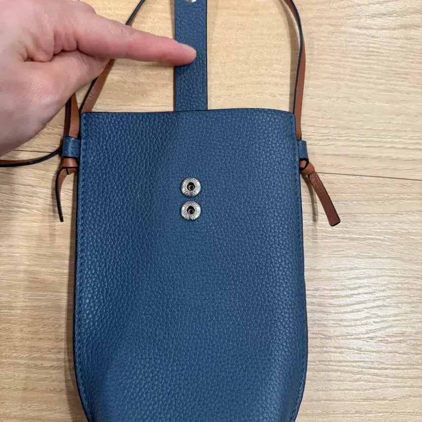 [BUNJANG] Loewe Phone Pouch / 로에베 폰 파우치