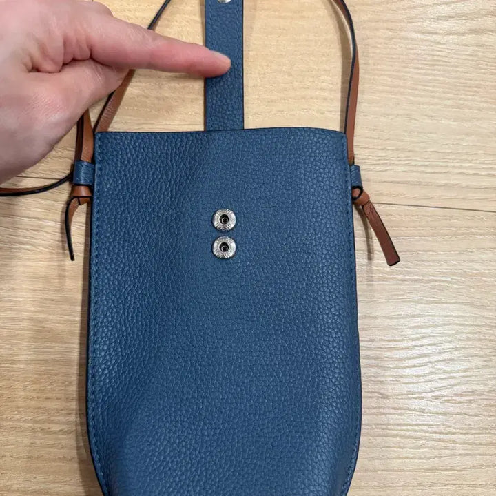[BUNJANG] Loewe Phone Pouch / 로에베 폰 파우치